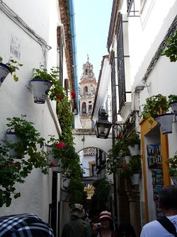 d0168170_1195782.jpg