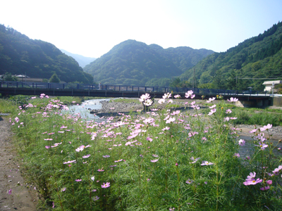 e0067674_13515660.jpg
