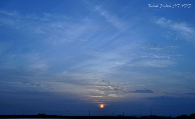 d0223176_033886.jpg