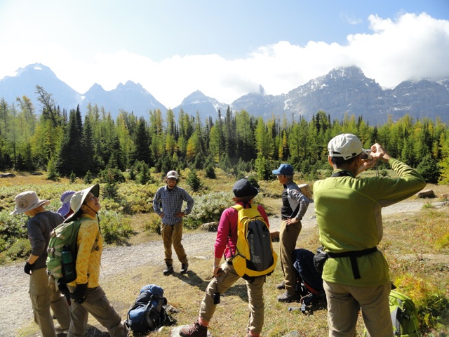 Larch Valley_a0047577_11304737.jpg