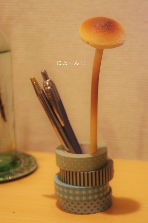 f0214479_22088.jpg
