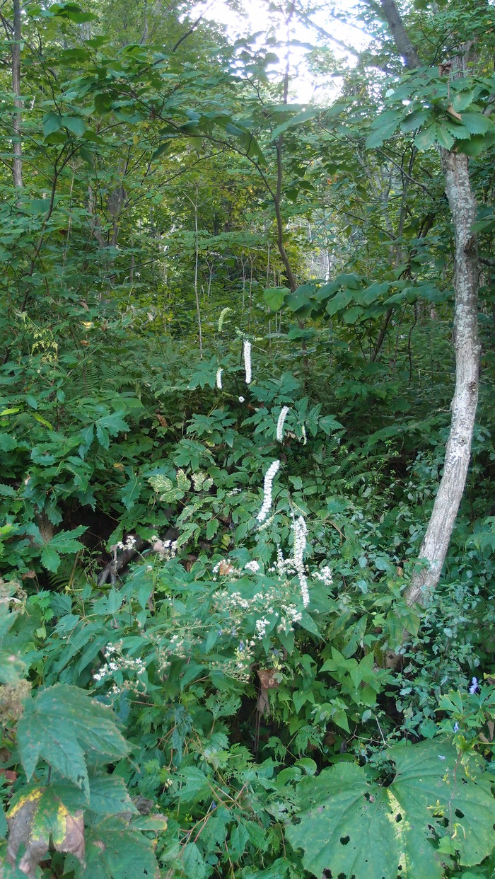 e0024081_2382295.jpg