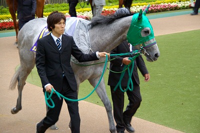 東西３歳馬のトライアルは、ホエールキャプチャ＆フェイトフルォーが制し共に重賞２勝目を飾る_b0015386_2216119.jpg