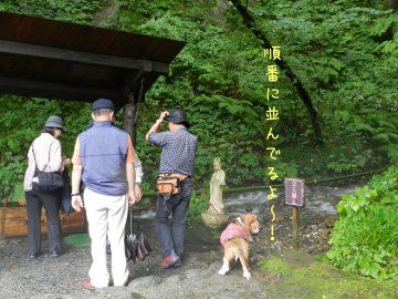 雨・・雨・・雨～～～！_f0205887_13335025.jpg