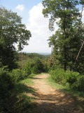 d0147488_22362766.jpg