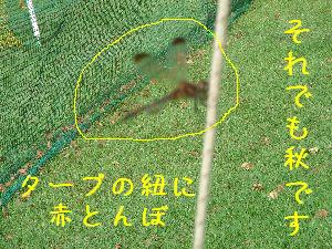 b0101991_17535036.jpg