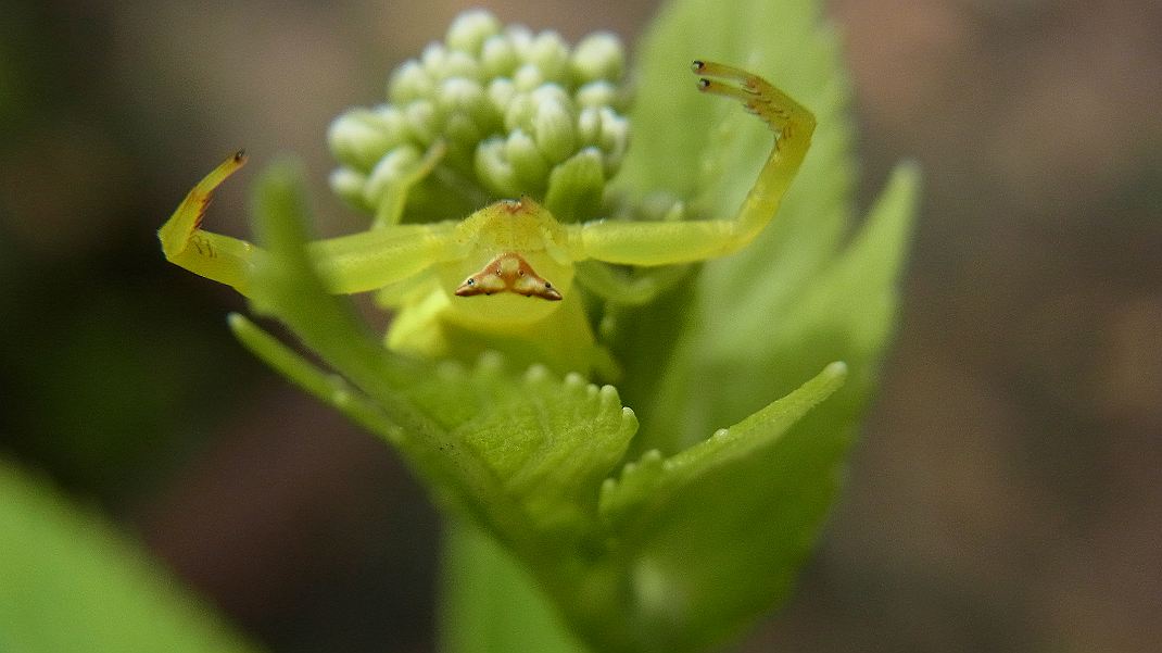 a0152692_1882156.jpg