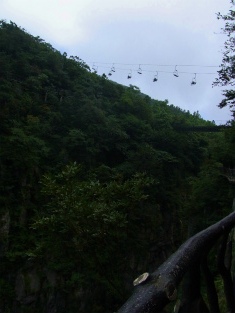 b0204492_050329.jpg