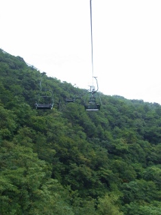 b0204492_215555.jpg