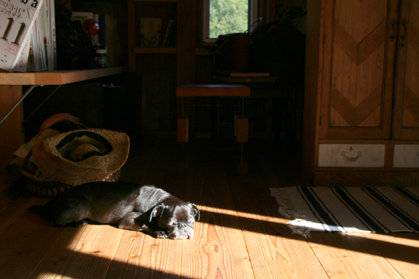 d0100095_8134321.jpg
