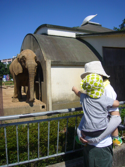 動物園_d0225495_439383.jpg