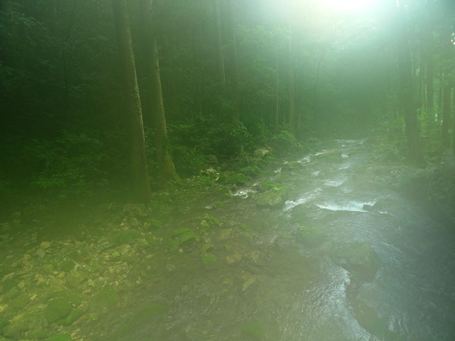 a0097006_11522949.jpg
