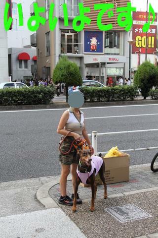e0100007_21433448.jpg