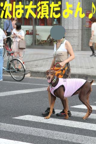 e0100007_21444178.jpg