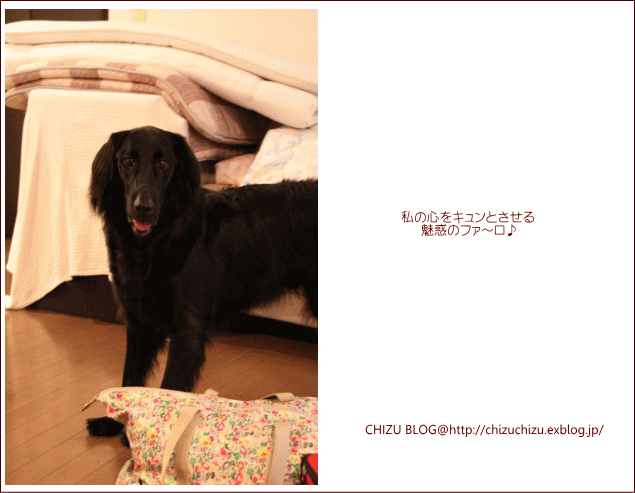 c0017311_20144730.gif
