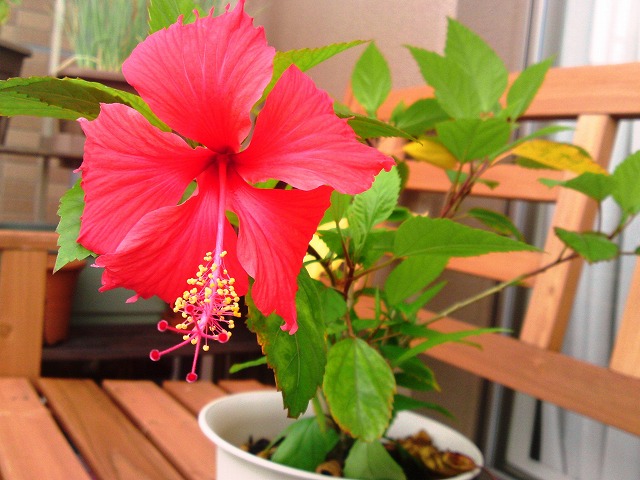 a0000014_1504219.jpg