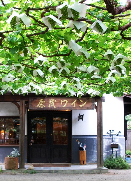 Cafe Casa da Noma@原茂ワイン_c0177814_146261.jpg