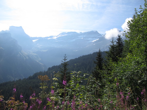 b0103915_2310037.jpg