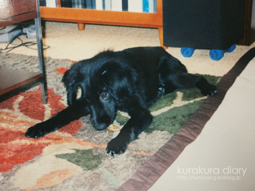 c0012120_22292593.jpg