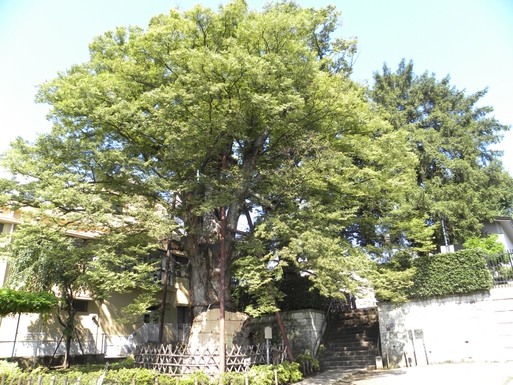 e0059721_11313781.jpg