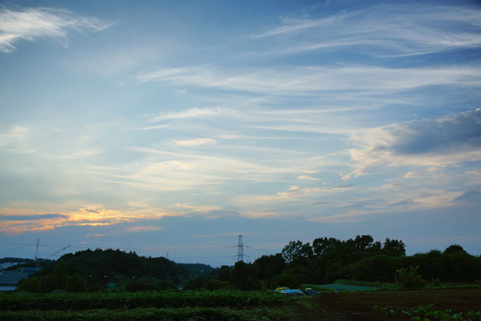 夕焼けの欠片_e0077521_21453613.jpg