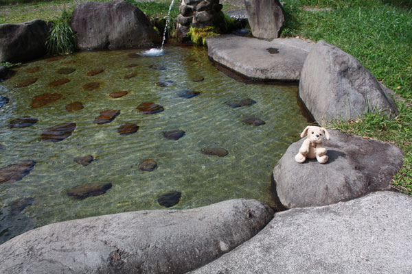 白樺湖とすずらんの湯_f0203423_17535020.jpg