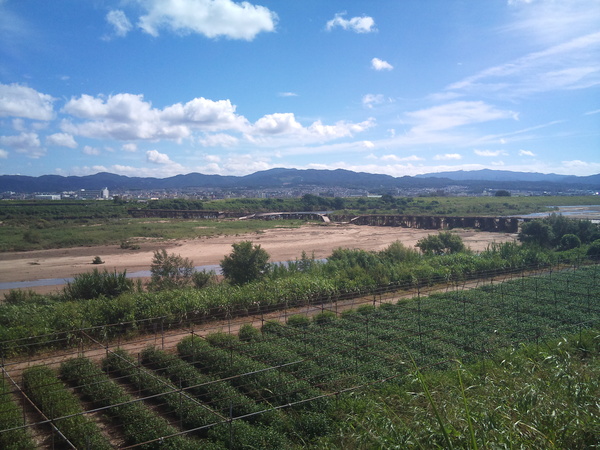 d0174624_7291927.jpg