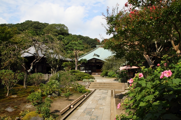 鎌倉散歩　#14 －ハギと彼岸花の寺（宝戒寺、海蔵寺、浄光明寺）－_b0169330_1813727.jpg