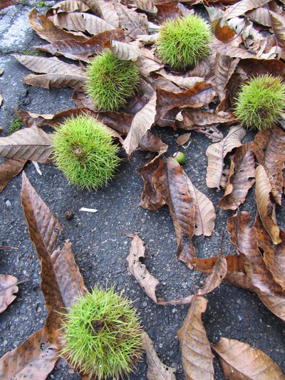 c0203430_20372110.jpg