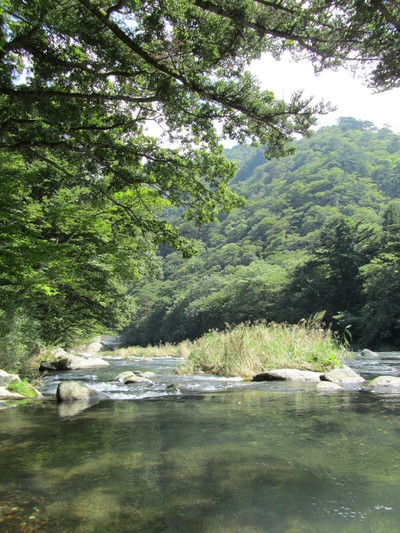 c0203430_20383962.jpg