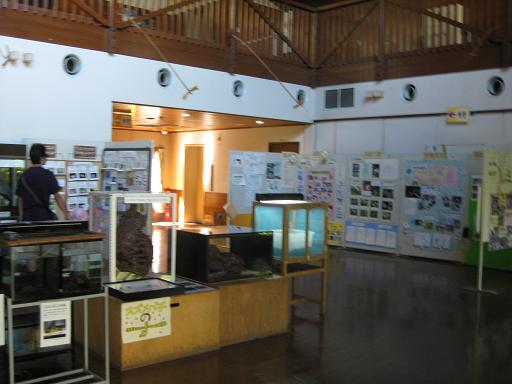 c0217931_1310437.jpg