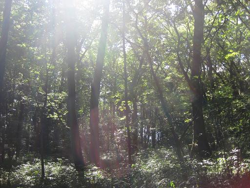 c0217931_13114874.jpg