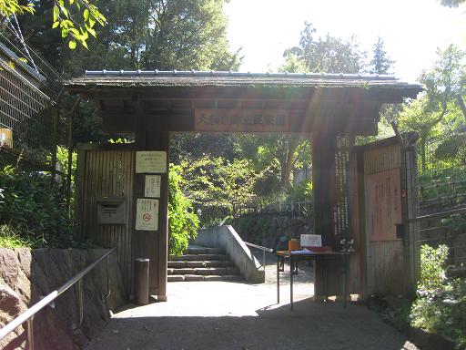 c0217931_13123219.jpg