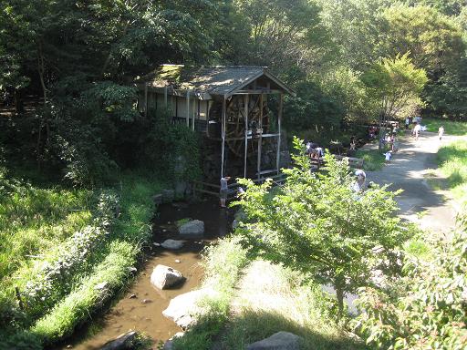c0217931_13132670.jpg