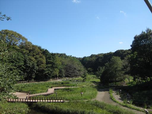 c0217931_13134557.jpg