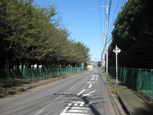 c0217931_1315898.jpg