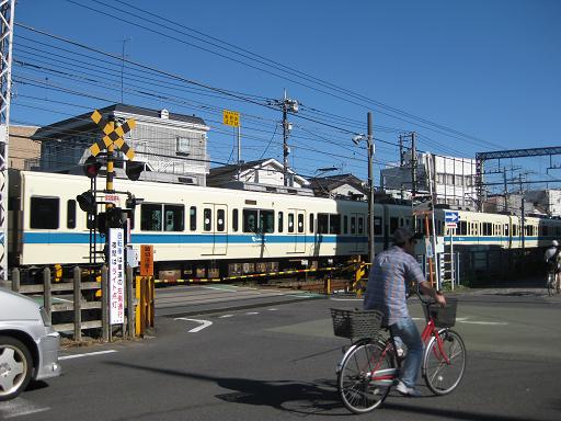 c0217931_13163341.jpg