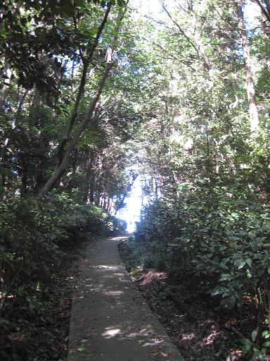 c0217931_1323293.jpg