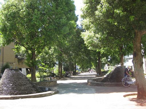 c0217931_1362174.jpg