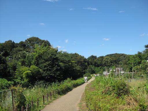 c0217931_1385776.jpg