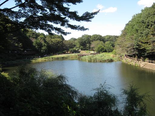 c0217931_1391148.jpg