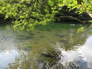 e0202031_22251259.jpg