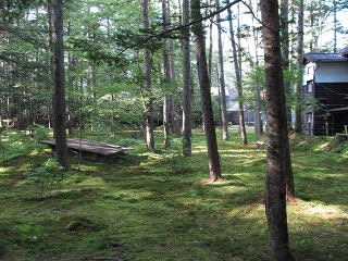 e0202031_2238753.jpg