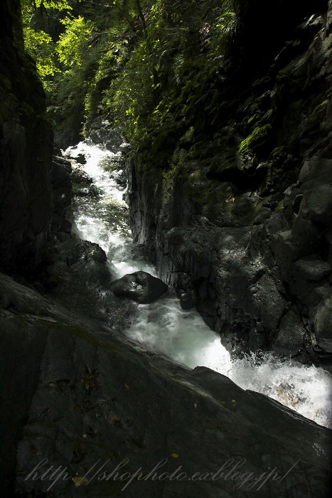 c0189533_895139.jpg