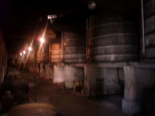 d0011635_13321239.jpg