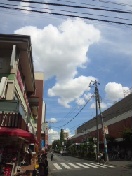a0134136_13373722.jpg