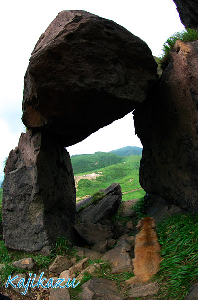 a0166940_0132246.jpg
