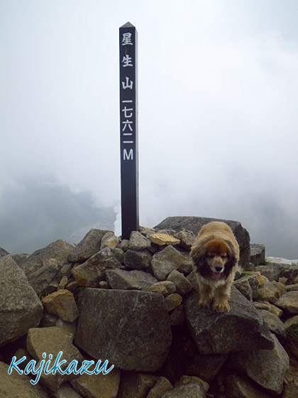 a0166940_0144628.jpg