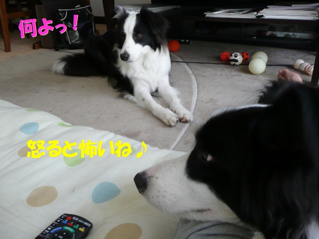 c0147241_844241.jpg