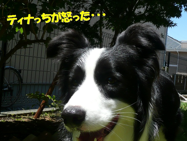 c0147241_84433.jpg
